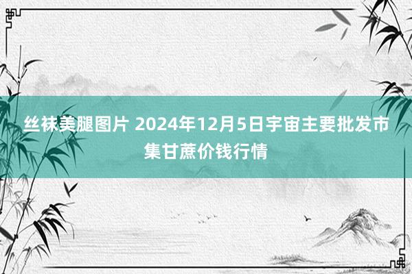 丝袜美腿图片 2024年12月5日宇宙主要批发市集甘蔗价钱行情