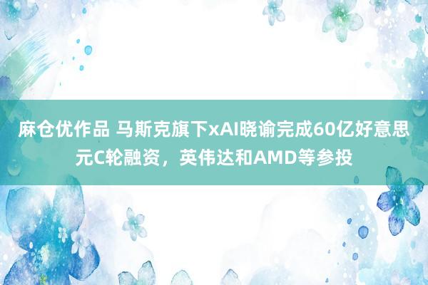 麻仓优作品 马斯克旗下xAI晓谕完成60亿好意思元C轮融资，英伟达和AMD等参投