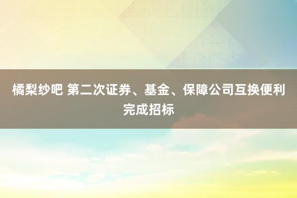橘梨纱吧 第二次证券、基金、保障公司互换便利完成招标