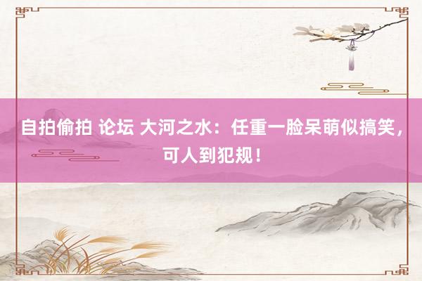 自拍偷拍 论坛 大河之水：任重一脸呆萌似搞笑，可人到犯规！