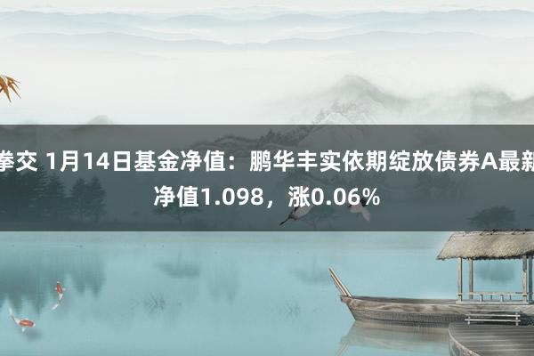 拳交 1月14日基金净值：鹏华丰实依期绽放债券A最新净值1.098，涨0.06%