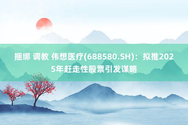 捆绑 调教 伟想医疗(688580.SH)：拟推2025年赶走性股票引发谋略