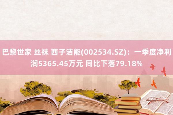 巴黎世家 丝袜 西子洁能(002534.SZ)：一季度净利润5365.45万元 同比下落79.18%