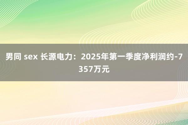 男同 sex 长源电力：2025年第一季度净利润约-7357万元